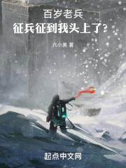 百岁老兵：机甲战舰时代